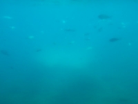 2014-05-02 10.39.48