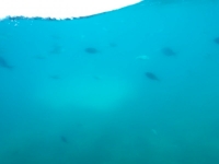 2014-05-02 10.39.51