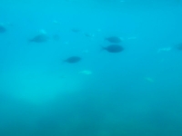 2014-05-02 10.40.00