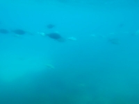 2014-05-02 10.40.03