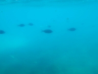 2014-05-02 10.40.07